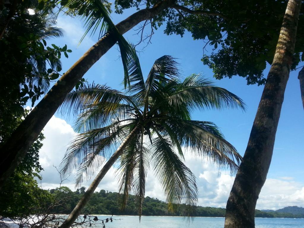 Mar Verde Lodge Puerto Viejo de Talamanca 외부 사진