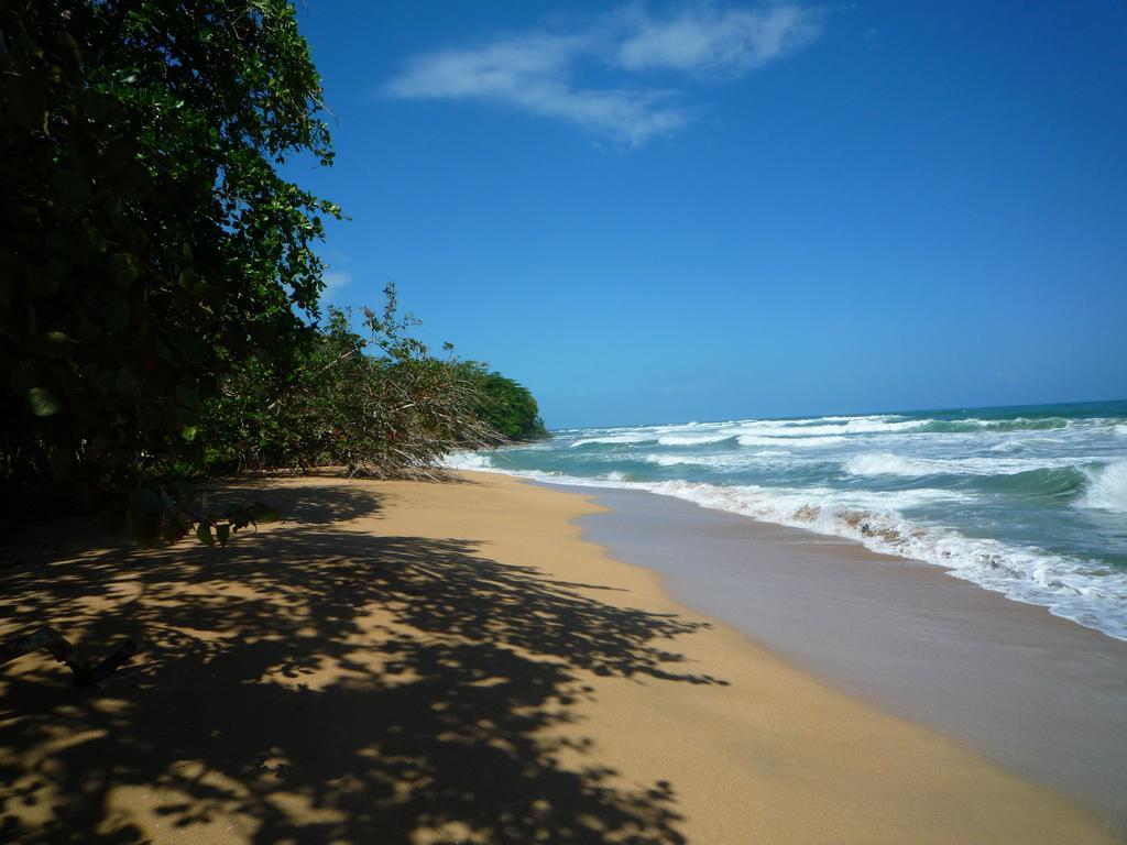 Mar Verde Lodge Puerto Viejo de Talamanca 외부 사진