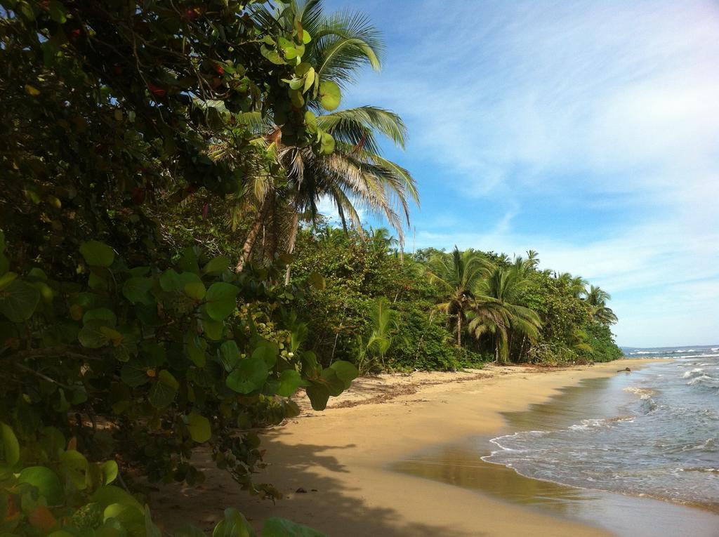 Mar Verde Lodge Puerto Viejo de Talamanca 외부 사진