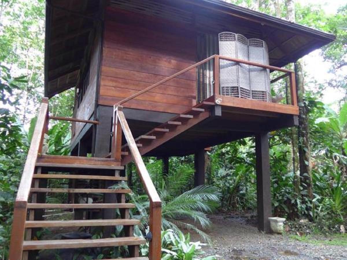 Mar Verde Lodge Puerto Viejo de Talamanca 외부 사진