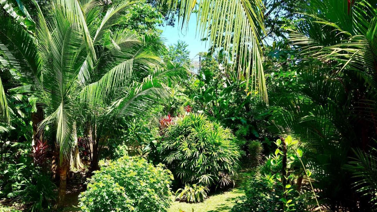 Mar Verde Lodge Puerto Viejo de Talamanca 외부 사진