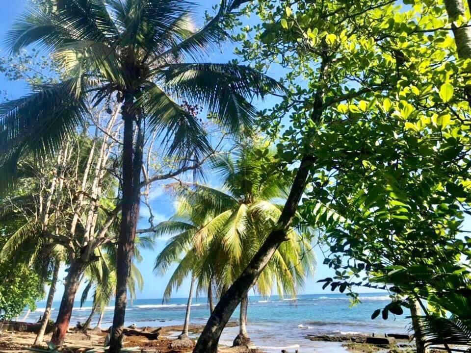 Mar Verde Lodge Puerto Viejo de Talamanca 외부 사진